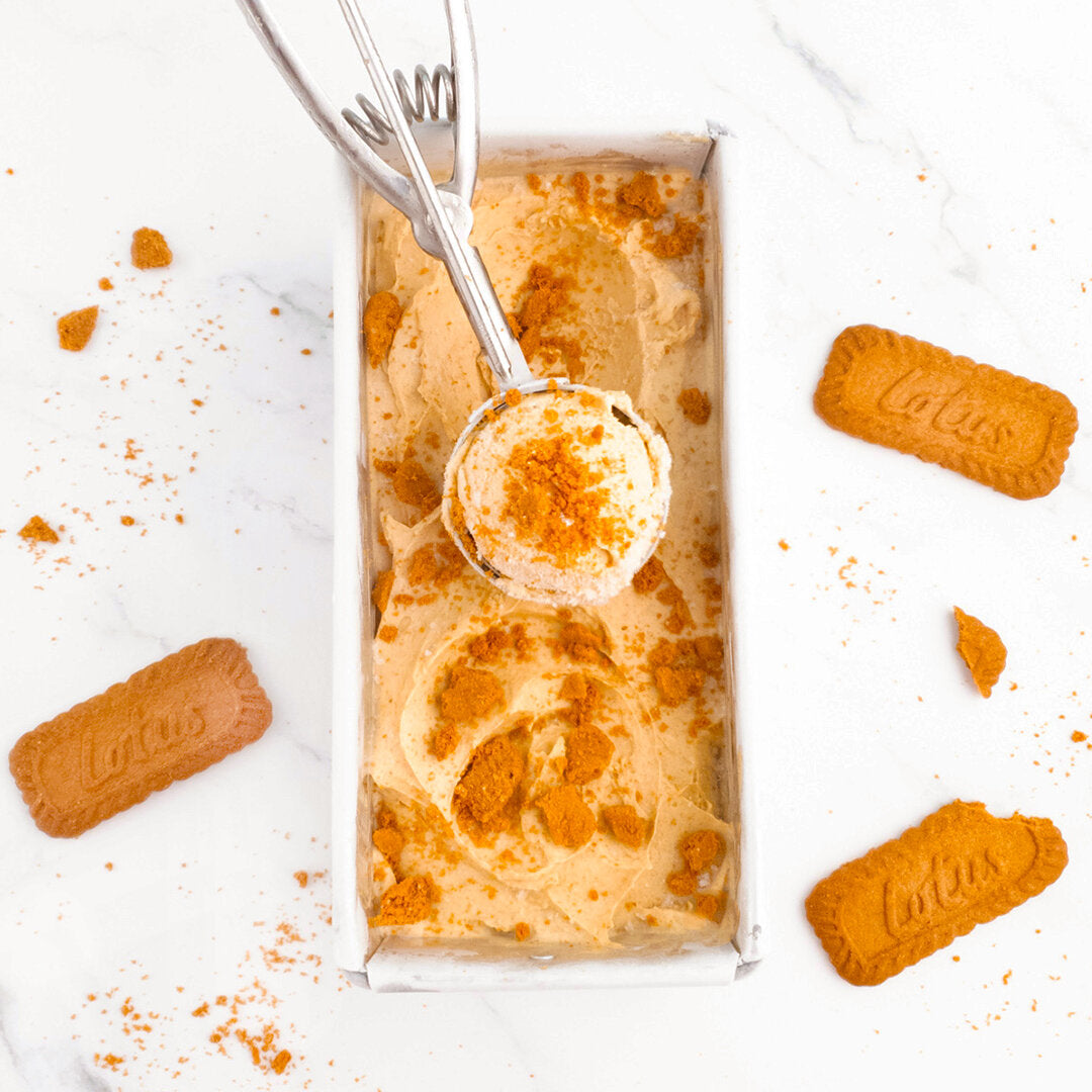 Speculoos Gelato Speculoos Gelato